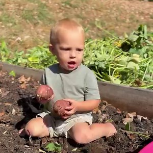 94K views · 10K reactions | Breck being a sweet potato farmer….BUT we can’t believe what he finds at the END!  | Plant Based Gabriel | Facebook