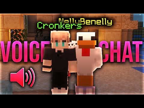 Voice Chat In Minecraft Was A Mistake... (Roxbot)