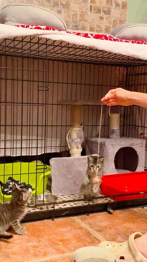 10K views · 577 reactions | Please welcome our latest members of the...