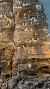 Perlan museum Reykjavik Iceland 🇮🇸 #northernlights #icecave #glacier #iceland #volcano #perlanmuseum #thingstodo #placestovisit #bucketlist #adventure #travel #travelvlog | Carole Rees