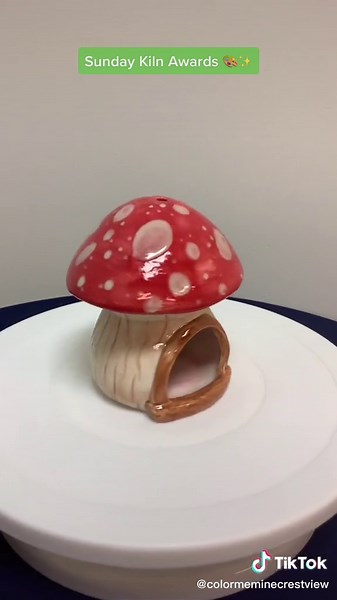 Sunday Kiln Awards 🎨✨🥳 #art #arttok #ceramic #fyp #fypシ #cottagecore #cmm #colormemine