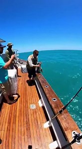 543K views · 2.3K reactions | Shocking Seal Snatch from Fishing Boat #FishingBoat #SealSnatch #Shocking #MarineLife #AnimalCruelty | Wild Viral Zone | Facebook