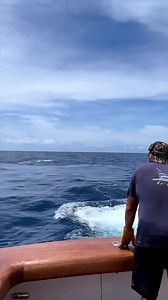 36K views · 915 reactions | Boys on the 97’ Weaver “18 Reeler” putting in work in their custom Billfish Shirts! Thanks foe the support @lawrencealiseo | Billfish | Facebook