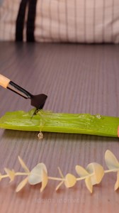 77K views · 139 reactions | Truques superúteis com babosa | Ideias Incríveis | Facebook