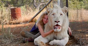 Το Kορίτσι και το Λιοντάρι