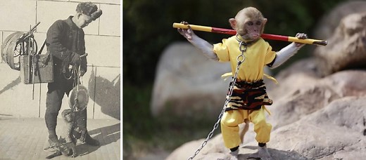 The Origin of Sun Wukong’s Cloud Somersault