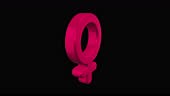 Gender symbol woman pink icon. Alpha channel. Looped animation. 3d...