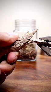 Making a mini moss terrarium 🌱 #mini #moss #terrarium #mossarium | The Urban Nemophilist