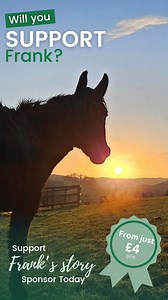 4.2K views · 229 reactions | Frank & Spartan sharing a moment of...