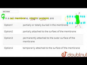 In a cell membrane, integral proteins are