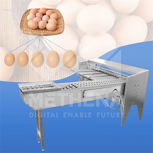 [Hot Item] Manufacturer of Small Automatic Egg Clean Sort Grading Pack Candle Machine Price Egg Sorter