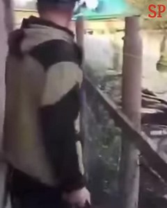 Electrocution Compilation By SP