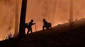 Washington DNR faces staffing cuts, halves wildfire prevention budget