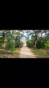 Hiking to Lake Michigan in Sleeping Bear Dunes National Lakeshore #michigan #puremichigan #hiking #nature #outdoors #adventure #travel #solotravel #solohiker | Mandy Michels Visuals