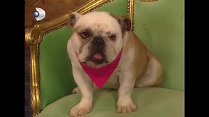 6K views · 93 reactions | Eda İçini Döktü! - Sihirli Annem 47.Bölüm | Sihirli Annem | Facebook