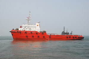[Hot Item] Floating Dock Slewing Luffing Crane CS008