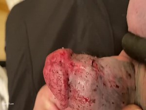 Worms crickets cox eaten by bugs