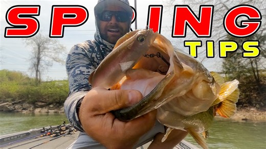 Sure, Spring is "big bass time", but only if you know where to fish! https://bit.ly/4bqnlV6