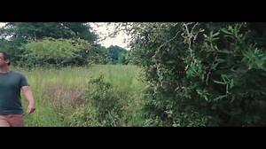 August Burns Red on Reels
