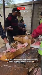 3.4K reactions · 308 shares | Donate via : https://tinyurl.com/47z527s9 Today MATW will be distributing hot meals in Gaza, ensuring families receive food, warmth, and dignity during this harsh winter. As long as the need exists, we remain on the ground serving those who need it most. Be a part of making a difference爐 100% Donation Policy #MATW #MATWProject #GazaRelief #HotMealDistribution #IslamicCharity | MATW Project | Facebook