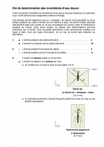 Cle Determination Invertebres Terrestre - Notice & Manuel PDF