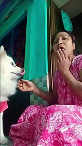 prithibir Sob thek hingsro pranir naam #funnyvdo#subscribe pls