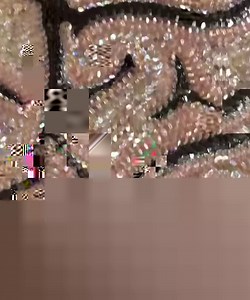 3.8K views | Beautiful Bizarre Magazine on Reels | Facebook