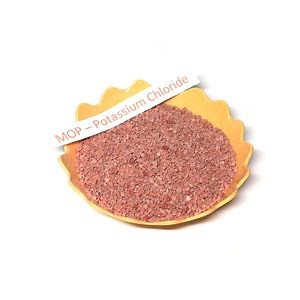 [Hot Item] Mop Fertilizer Production Potash Red Granular Potassium Chloride Kcl 60% Mop