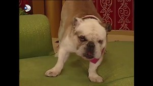 Perihan, Dudu'nun Yokluğunu Anladı! - Sihirli Annem 79.Bölüm | Sihirli Annem