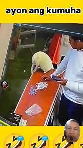 Akala ni kuya kinain ang pusa ang binigay nya.pero hindi kasi iba ang kumuha. 😭😭 #rectionvideo | Eric Masbang