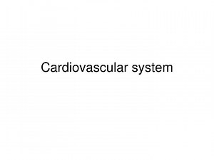 Cardiovascular system - SlideServe