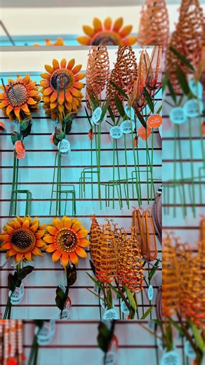 Melissa Falltastic on TikTok