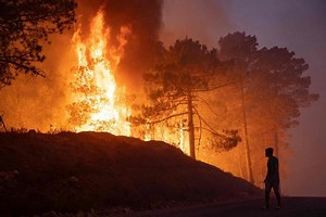 Most Algeria forest fires 'under control': Emergency services