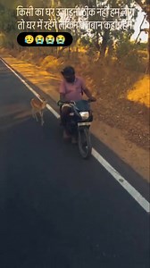 3.8M views · 98K reactions | Follow me ❤️ Hyderabad ka jungle #Hyderabad #msmonishbaba0315 #pakshiyon #millionviews #viralphotochallenge #,梁梁梁 | Mohd Monish | Facebook