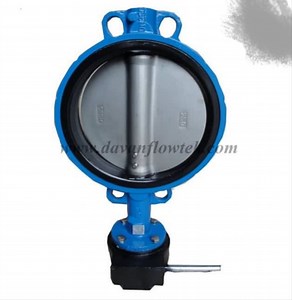 [Hot Item] Cast Ductile Iron Wafer Type Light Pn10/16 Ggg 50 Butterfly Valve