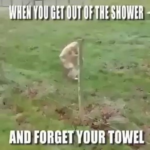 37K views · 336 reactions | Everytime!  Bargain towels ➡️...