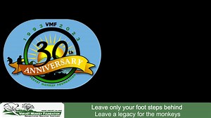 Vervet Monkey Foundation on Reels