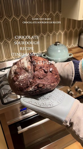Chocolate Sourdough Recipe with Cocoa Powder and Chocolate Chips