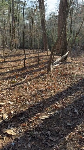 Is this an old stagecoach Trail, an Indian Trail, or a former footpath that led to the Hot Springs hot water? | Hot Springs Broadcast Network