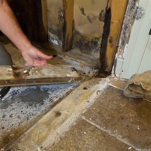 Rotten Framing Repair for a Leaky Shower | Stud Pack, LLC
