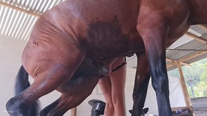 Caballo la penetra duro