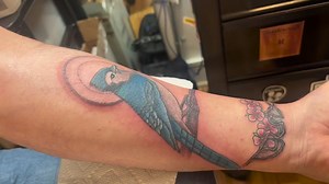 Tattoo by Jessica | Blue Moon Tattoo & Body Piercing | Facebook