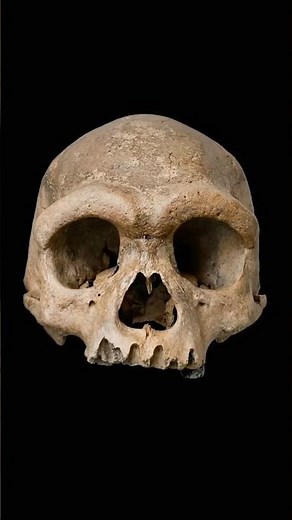 We Reconstructed a 146,000-Year-Old "Dragon Man"