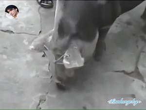 22K views · 222 reactions | An Hữu, Cái Bè, Tiền Giang năm 1994 | Lâm Hùng | Facebook