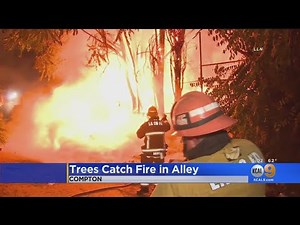 Several Trees Catch Fire In Compton Alleyway Overnight