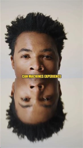 Deep Dream: The Hallucinations of AI