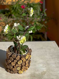 DIY Planter / Vase 💚 একটু রিসাইকেল করলাম আরকি ☺️। | Rinish