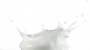 Super slow motion of milk splash isolated on white background. Filmed on high speed cinema camera, 1000 fps.