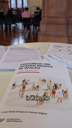 Now, more than ever, it is no longer enough to say we support human rights, we must protect them in law. I took a debate to the Senedd calling for a Human Rights Act for Wales, following the launch of a report by the Cross-Party Group on Human Rights, which I chair. // Nawr, mwy nag erioed, dyw hi bellach ddim yn ddigon i ddweud ein bod yn cefnogi hawliau dynol, mae'n rhaid i ni eu hamddiffyn yn y gyfraith. Es i â dadl i'r Senedd yn galw am Ddeddf Hawliau Dynol i Gymru, yn dilyn lansio adroddiad