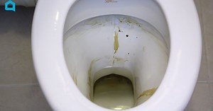 Natural Toilet Bowl Cleaner DIY